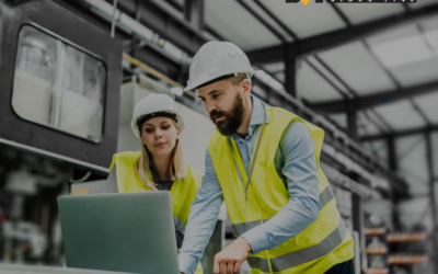 B+M Core Pillars: Knowledge